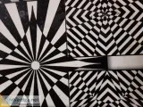 OP ART CLASS