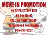 Brand New Homes for sale