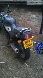 triumph for sale