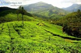 Make Your Munnar Holidays Memorable With Kerala Tourism Enterpri
