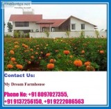 Land Options- we get options from selected location