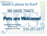Move in Specials