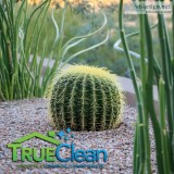 LANDSCAPING AND YARD WORK SPECIAL DISCOUNT LIMITED-TIME OFFER