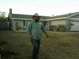 Cheapest  N  Best Gardening