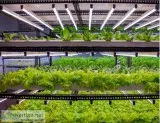 Know About Greenhouse Setup Cost
