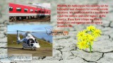 Medilife Air Ambulance in Ranchi Available with Bed to Bed Facil