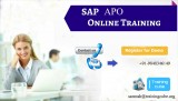 SAP APO ONLINE TRIANING