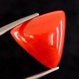 Buy Red Coral (Munga or Moonga)stone Online at best price in Ind