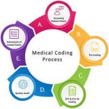 Medical coding and pharma co vigilance training