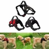 Dog Walking Harness