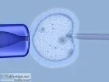 Egg Retrieval - RSMC Is the Best Place to Have It