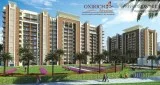 Luxury 3 BHK Flats in Oxirich Avenue Indirapuram Ghaziabad 9911-