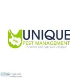 Rat control services in Chennai