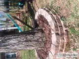 Leave clean up gutters cleaned out  odd jobs