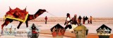 Sizzeling Kutch Tour Package