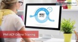 What is PMI ACP Online Training