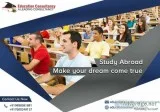 Overseas Education Consultancy and Study MBBS Abroad Consultant 