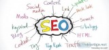 Best SEO Service in Noida