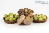 Garcinia Fruit Extract  Arjunanatural.com