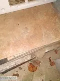 A variety of tile ceramic tile and terracotta and vinyl