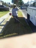 Cheapest  N  Best Gardening