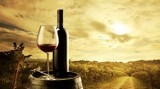Explore the health benefits of wine