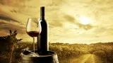 Explore the health benefits of wine