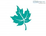 Elderly Home Care Hamilton