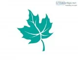 Elderly Home Care Hamilton