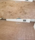 TRUCK MOUNT CARPET CLEANING