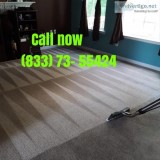 Professional carpet cleaning