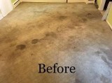 Carpet Tile and Upholstery Cleaning