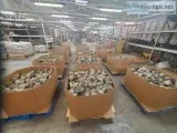 4057 Brass Water Meters
