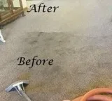 PROFESSIONAL CARPET STEAM CLEANING