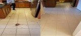 carpet cleaning specials maid services