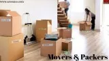 Movers and Packers In Delhi