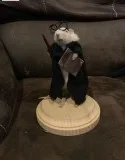 Taxidermy Rat making class