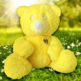 Toys That Teach Languages