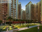 Luxury 23BHK Flats at Faizabad Road by OMEGA