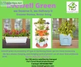 Flower pots