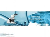 Lims Lab Software &ndash Pathogold