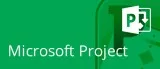 Microsoft Project Online Training