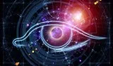 TOTAL AUTOMATED BUSINESS