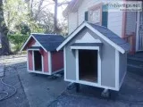 new dog houses