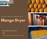 Mango Dryer