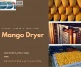 Mango Dryer