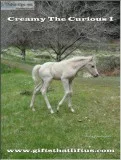 Creamy The Curious