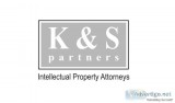 IP Legal Services