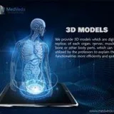 Complete Anatomy 3d model service for educators at MedVeda