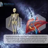 Complete 3D Anatomy Video for Medical Student at MedVeda